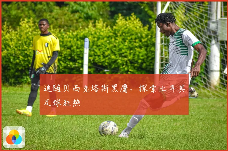 追随贝西克塔斯黑鹰,探索土耳其足球狂热