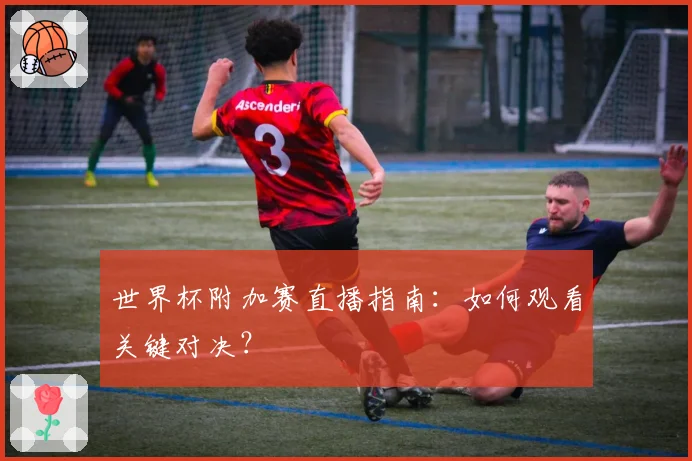 世界杯附加赛直播指南：如何观看关键对决？