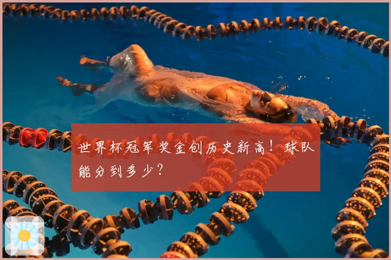 世界杯冠军奖金创历史新高!球队能分到多少?