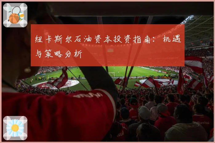 纽卡斯尔石油资本投资指南：机遇与策略分析