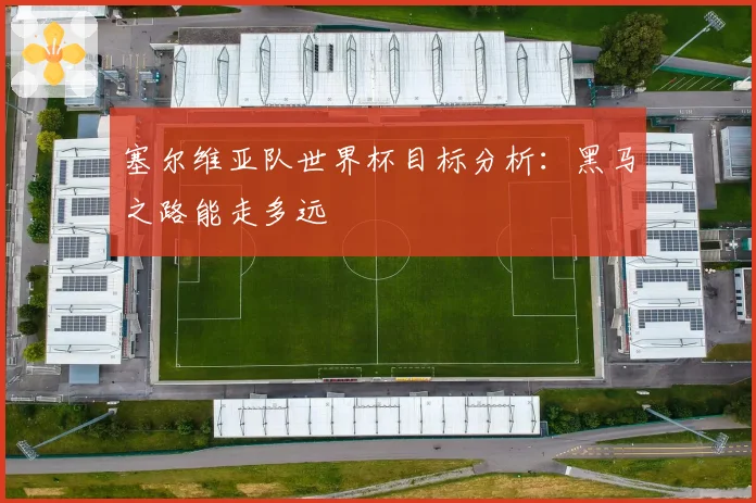 塞尔维亚队世界杯目标分析:黑马之路能走多远